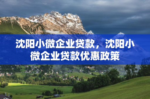  小微企业贷款， 小微企业贷款优惠政策