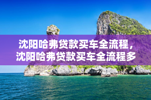 通化哈弗贷款买车全流程，通化哈弗贷款买车全流程多少钱