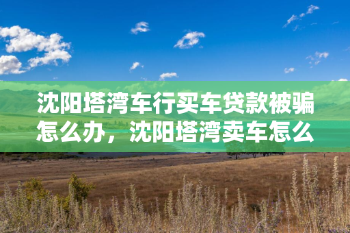 通化塔湾车行买车贷款被骗怎么办，通化塔湾卖车怎么样